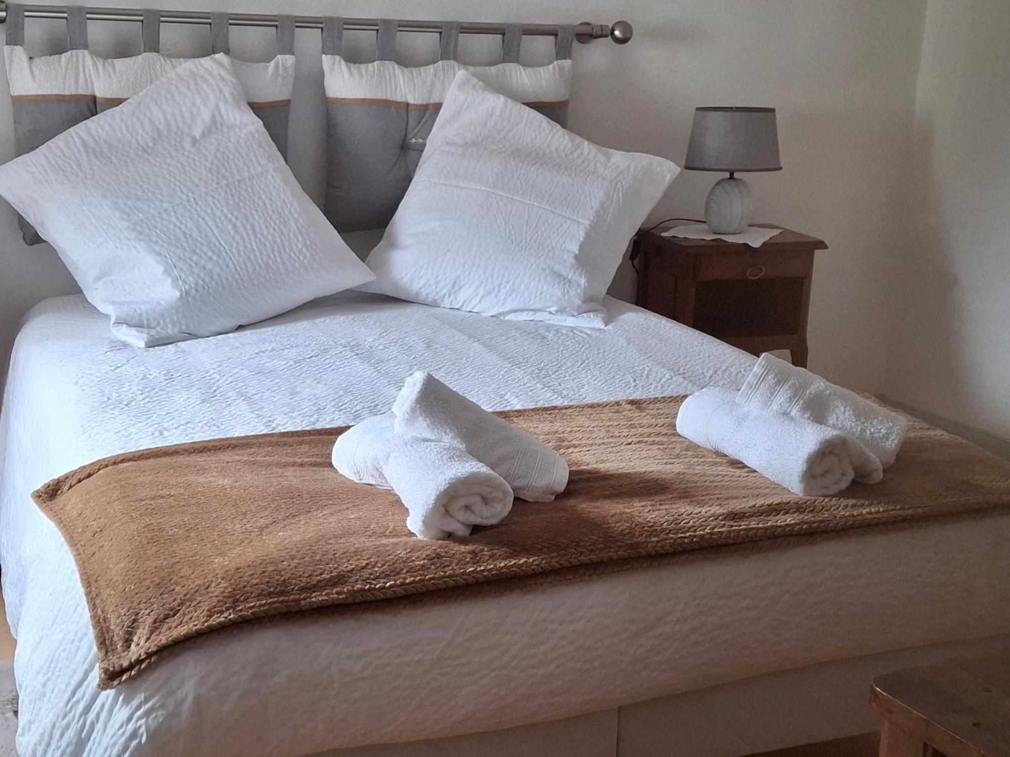 Escale Au Pied Du Chateau アンボワーズ エクステリア 写真